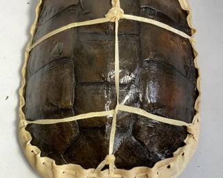 Turtle Shell Drum 