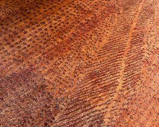 Rust Animal Print Area Rug