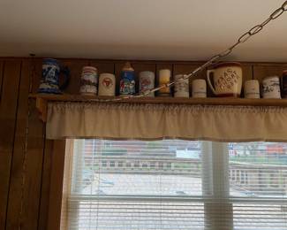steins
