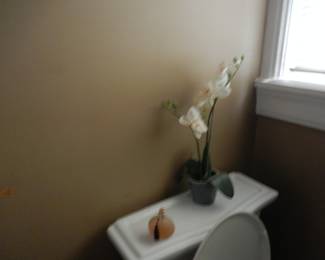 Atomizer and Flowers