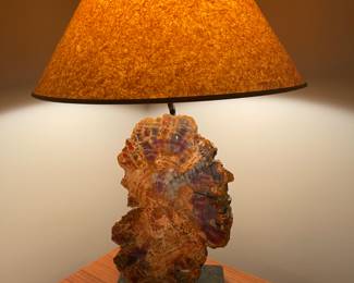 SOLD………Wonderful Petrified Wood Lamp