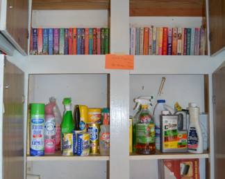 cleaning supplies, novels, National Geographics