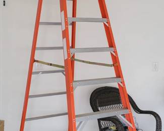 10 ft Werner ladder 