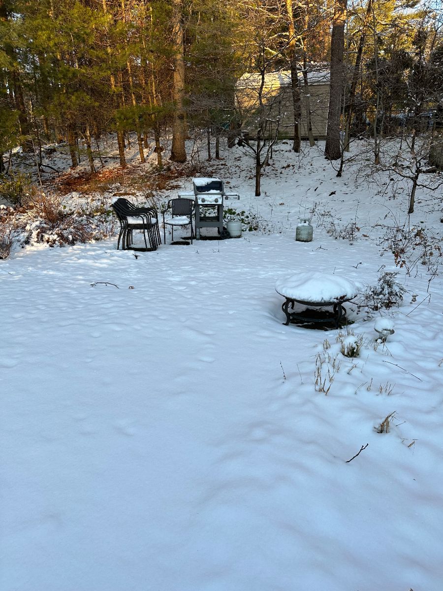 Massive estate sale this Saturday in foxboro! starts on 1/13/2024