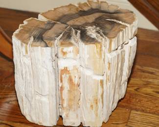 Large block of petrified wood