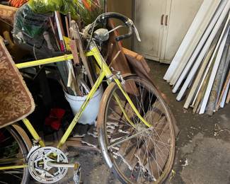 . . . vintage 10 speed