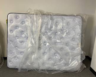 New Serta Perfect Sleeper Blue Lagoon Queen Mattress