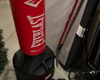 Everlast Elite freestanding heavy bag; Protocol boxing gloves.