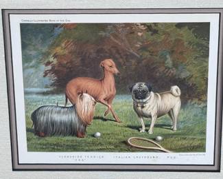 Cassell's Illustrated Book of the Dog Framed Litho Pug/ Italian Greyhound/ Yorkshire Terrier Vincent Brooks Day & Son Lithograph	Frame: 14x17x1in	124051
