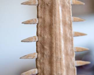 Vintage Natural Sawfish Rostrum/Bill Mounted on Petrified Wood Sawtooth Specimens	26x11x9in	115040