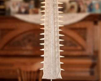 Vintage Natural Sawfish Rostrum/Bill Mounted on Petrified Wood Sawtooth Specimens	26x11x9in	115040