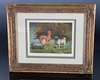 Cassell's Illustrated Book of the Dog Framed Litho Pug/ Italian Greyhound/ Yorkshire Terrier Vincent Brooks Day & Son Lithograph	Frame: 14x17x1in	124051
