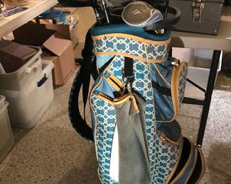 Ladies Golf Clubs and bag