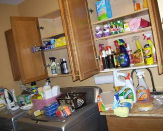 LOTS OF CLEANING SUPPLIES