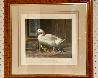 "Duck and Ducklings" Engraving by J. Harris & W. Summers