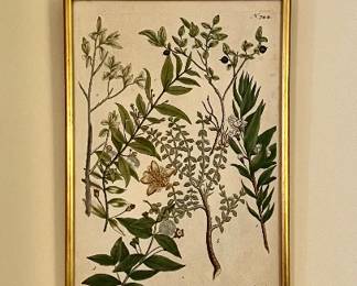 (3) Framed Botanicals