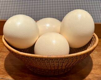 Ostrich Eggs