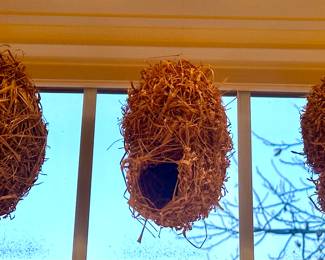 (3) Bird Nests