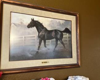 horse pic by chuck Dehaan 