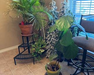 live plants