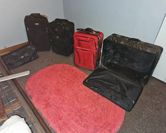 $10-$20 Suitcases