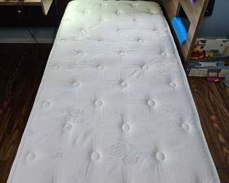 $125 Twin loft style Bunkbeds w/desk area, $20 ea (2) twin mattresses