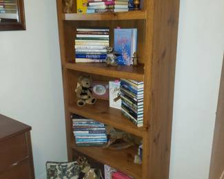 Books & Bookcase