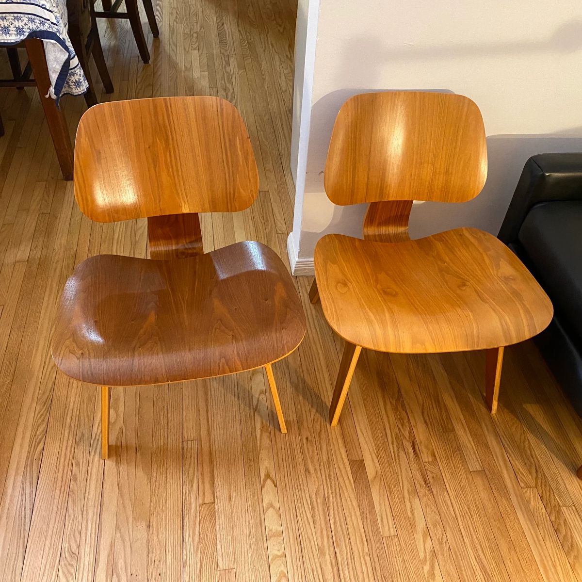 Eames Molded plywood chairs (2004)