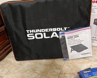 Just a panel but we also have a solar generator/battery