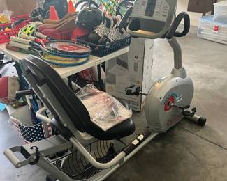 Schwinn 250 Recumbent Exercise Bike