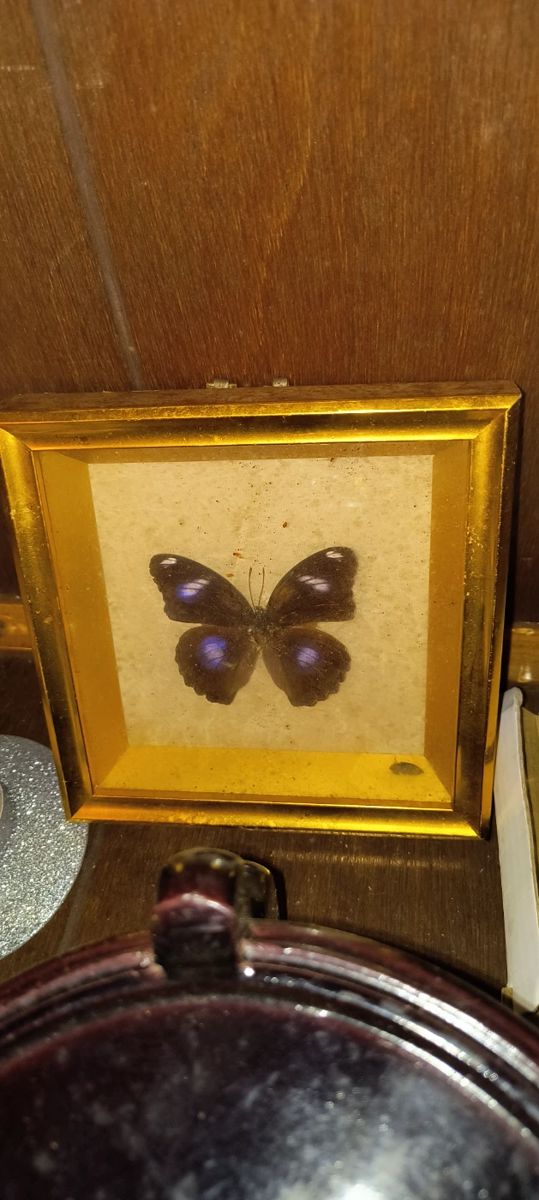 25 off everything in East point, Dublin drive starts on 1/19/2024