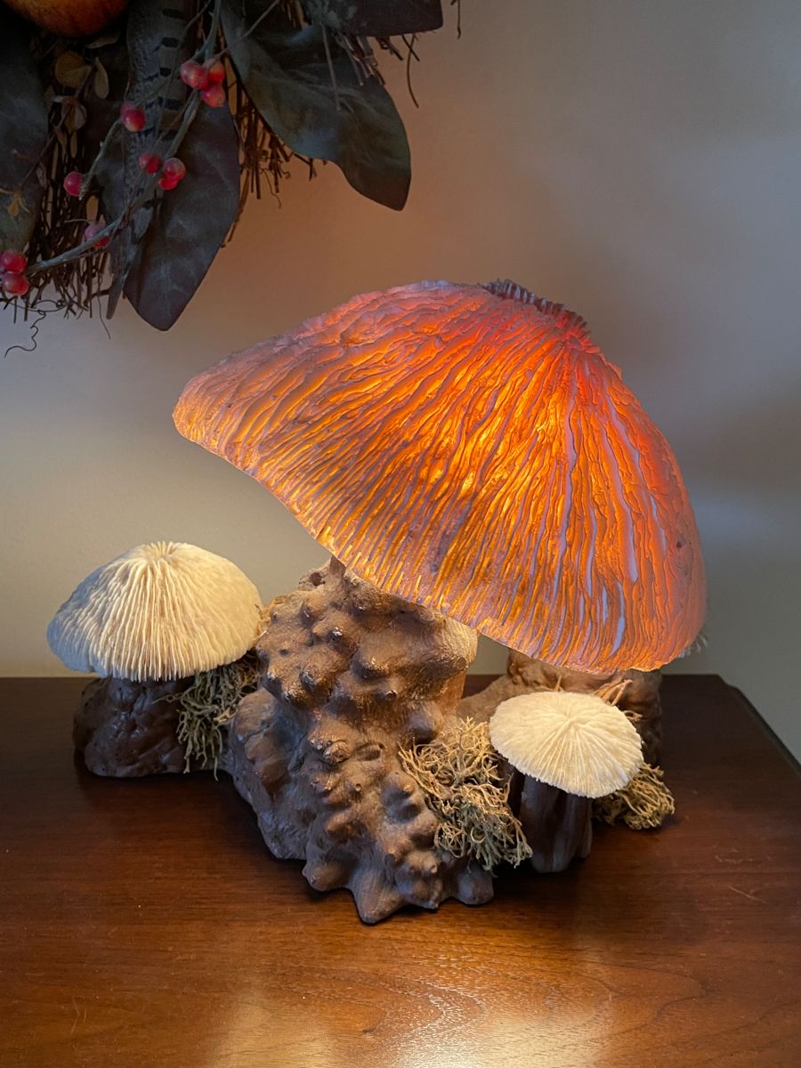 Vintage finds in Ann Arbor starts on 1/20/2024