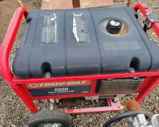 #80430 • Troy-Bilt 5550 Watt Generator
