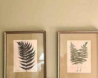 Fern artwork