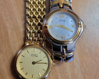 ESQ Watches by Movado.
