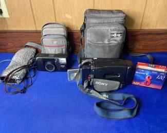 Nikon and Sony Camera