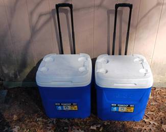 Igloo Coolers