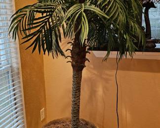 Fake Palm