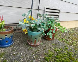 Assortment of Orchid Pots