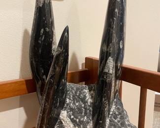 Orthoceras Fossil Sculpture