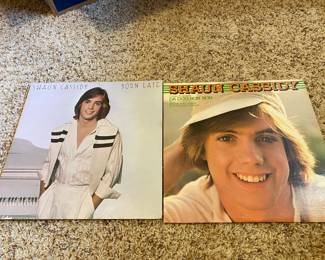 Assortment of Vinyl Records