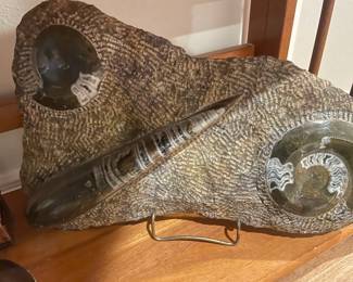 Orthoceras and Ammonite Fossils Plate