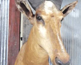 cIeNufjLc7B Yhn9Pdo1DLDj