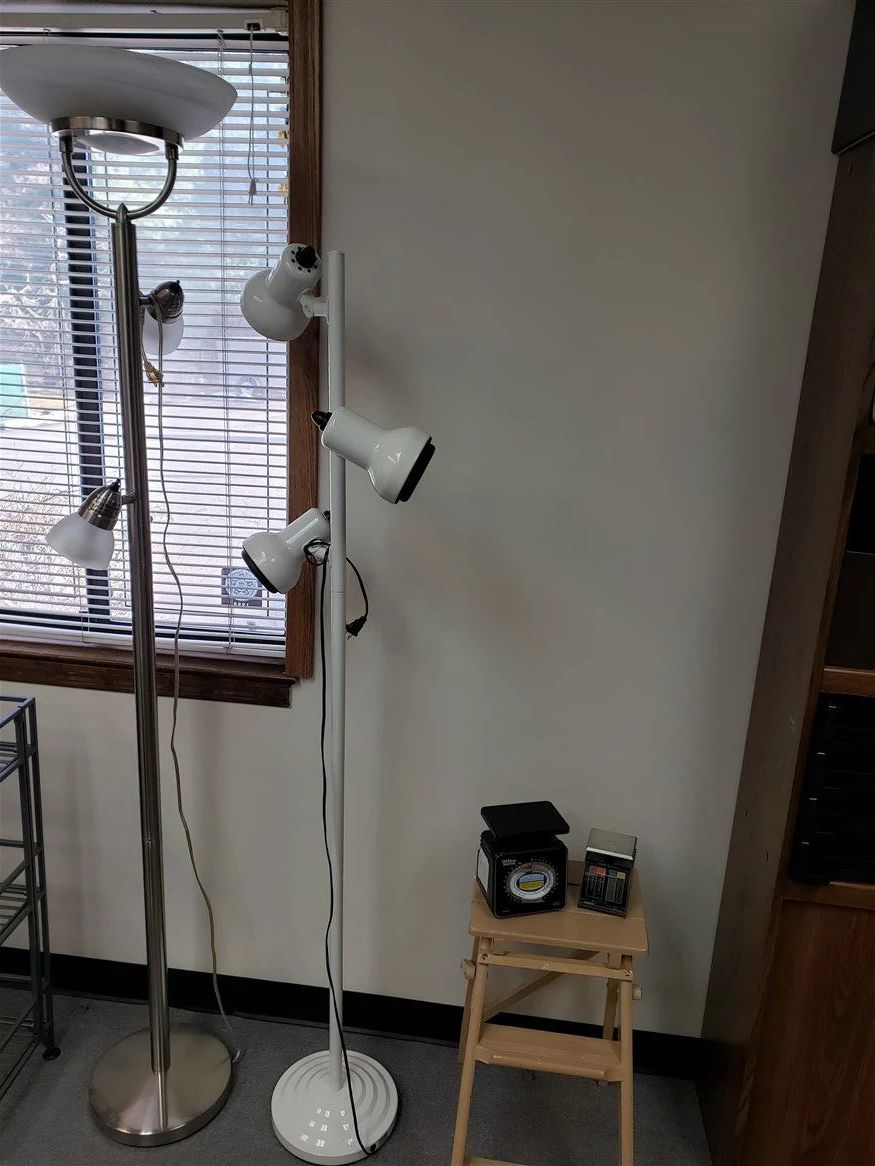 One Day Only! Professional Office closing... starts on 1/20/2024