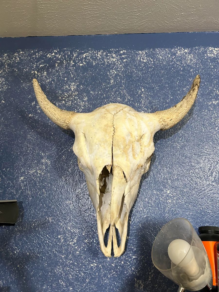 Discount Day! Irving Sale with Amazing Collections starts on 1/18/2024