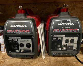 Generator with Companion (around 5 yrs old)