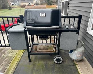 Weber BBQ