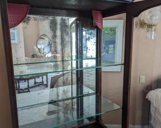 C.1900 Mahogany display case