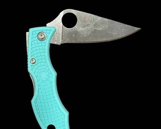 SPYDERCO Ladybug Knife (LTLP3) 