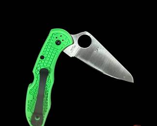SPYDERCO Salt 2 Knife (C88FPGR2) 